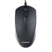оптический, 1000 dpi, USB