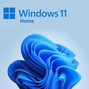 ОС Microsoft Win 11 Home 64Bit Russian, OEM, Русский, USB-Flash, (KW9-00633 in pack)