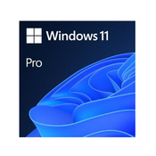 ОС Microsoft Windows 11 Pro (64 Bit), OEM, Английский, USB-Flash, (FQC-10528)