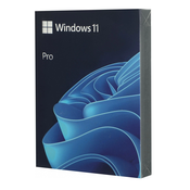 ОС Microsoft Windows 11 Pro, BOX, Английский, Русский, USB-Flash, (HAV-00162)