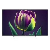 диагональ 65", разрешение 3840x2160, Smart TV, Wi-Fi, стандарты: DVB-C, DVB-S2, DVB-T2