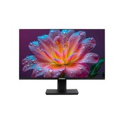 матрица: IPS, 1920x1080, разъёмы: DisplayPort, HDMI, VGA, мини-Джек 3.5